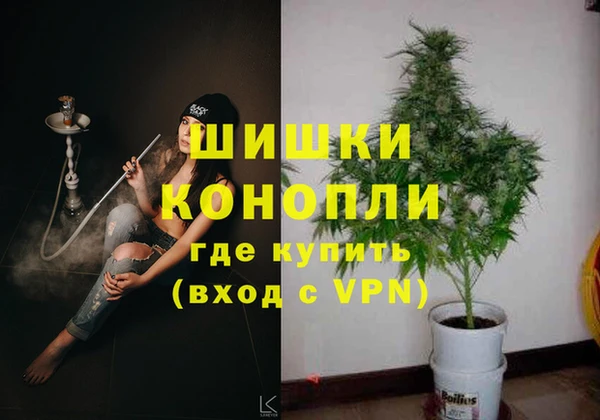 соль ск Коряжма