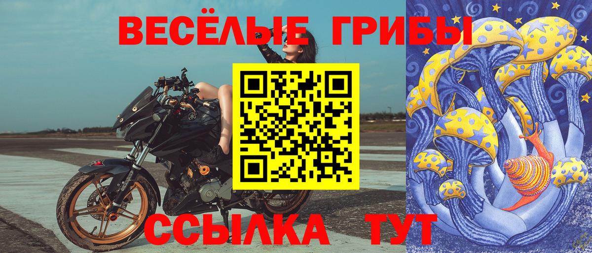 Галлюциногенные грибы GOLDEN TEACHER Элиста