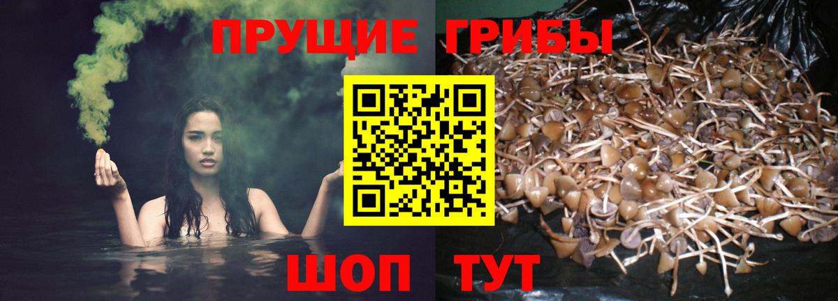 Псилоцибиновые грибы мицелий  Галлюциногенные грибы Magic Shrooms  Вход с VPN  Элиста 